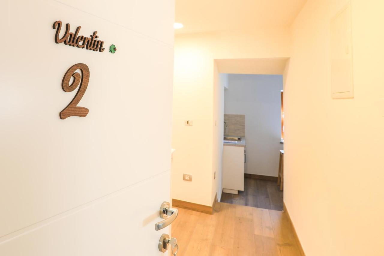 Apartmaji Tina 지고르니예 고르예 외부 사진
